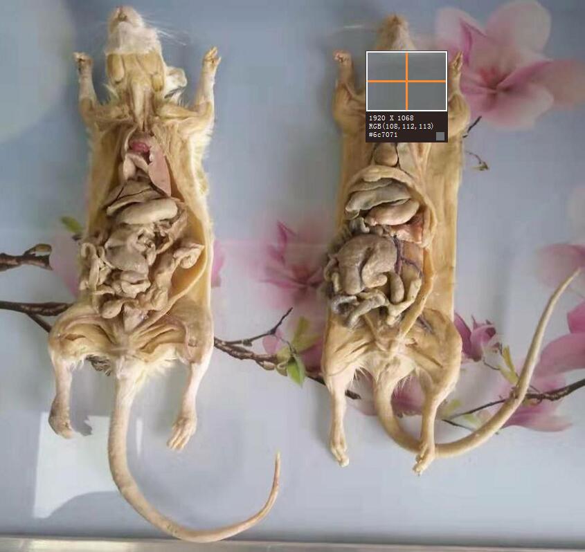 QQ20210901151907