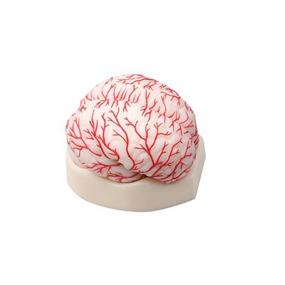 Sú modely patológie nákladovo efektívnejšie ako tradičné metódy?